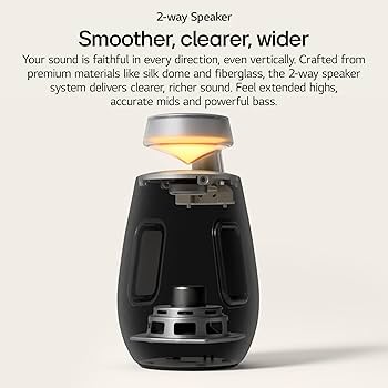 Amazon.com: LG XO2TBK XBOOM 360 Wireless Speaker with